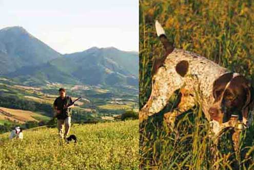 caccia allenamento in riserva