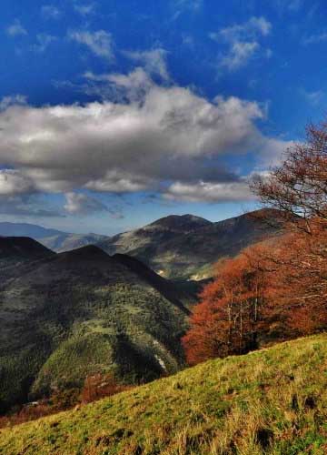 Monte Nerone: tra natura selvaggia e incantevoli borghi