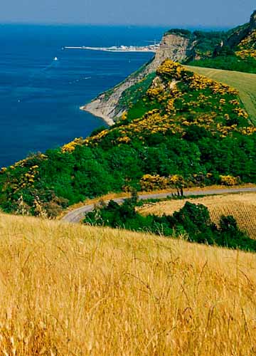  Escursioni Monte San Bartolo